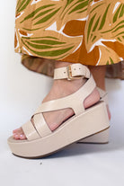 matisse pascal platform