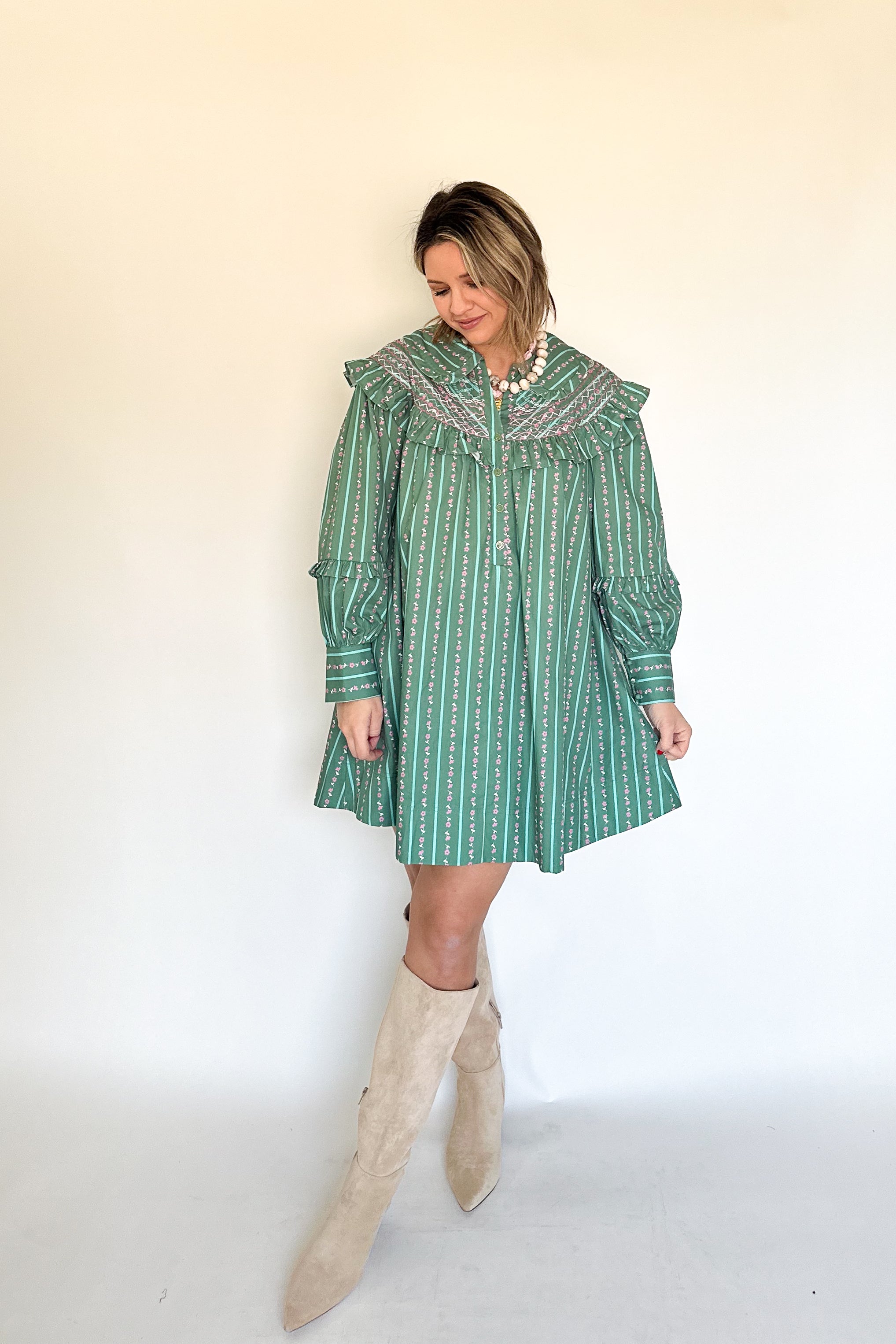 Floral Stripe Embroidered Peter Pan Dress By Karlie